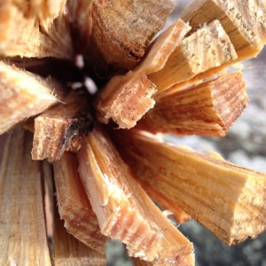 tjarstickor